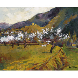 104-Floración de los...