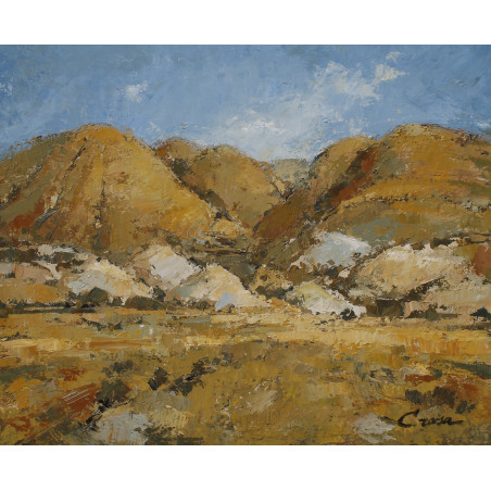 104-Tierras de Monegros, 46x55 cm.